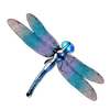Big Bass Splash Dragonfly